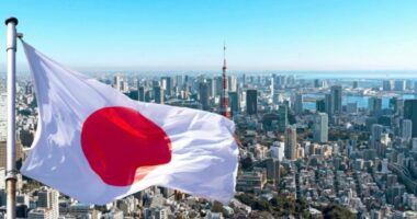 Mungesa e punëtorëve, Japonia planifikon 10 milionë robotë deri në vitin 2040