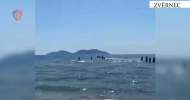 Rrezikuan pushuesit në Vlorë/ Ndërhyn Policia, ndalohen dhe gjobiten dy drejtues mjetesh lundruese