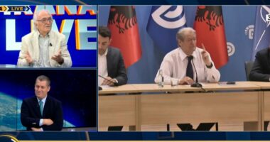 Zvërneci, Berisha përballë firmës së tij/ Çupi: I ka parë investimet e huaja si interes familjar, PD nuk rinovohet me të në krye