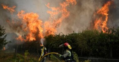 Madridi në alarm nga zjarret/ Qindra zjarrfikës po luftojnë me flakët në veri të kryeqytetit spanjoll