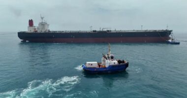 SHBA, sulmet në Hormuz/ Godet bazat iraniane që bombardojnë anijet në ngushticë