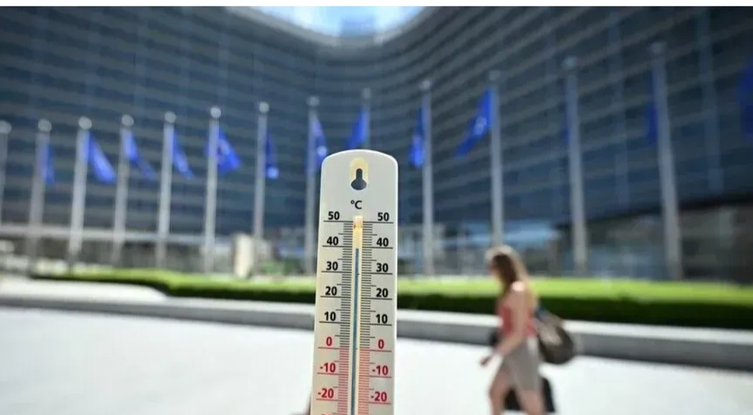 Vdekjet nga vala e të nxehtit u rritën 39 për qind mbi nivelet normale në Belgjikë