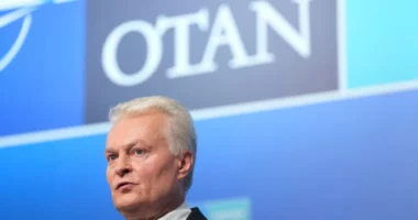 Lituania: Rusia po planifikon sulme në infrastrukturë