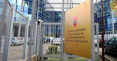 Apeli lë në fuqi konfiskimin, 22 pasuri të Gramoz Totos kalojnë në favor të shtetit