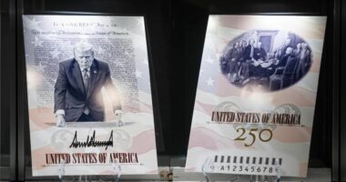 Departamenti amerikan i Shtetit do të ofrojë pasaporta amerikane me foton e Trump