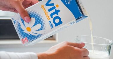 Kosovë/ Shoqata e Prodhuesve të Qumështit kërkon grumbullimin e çdo litri dhe rikthimin e çmimit të mëparshëm