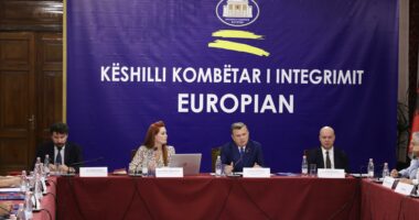 Balla: Task-forcë e përbashkët mes institucioneve përgjegjëse për të luftuar piraterinë digjitale