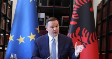 Degradimi i simboleve të protestës/ Nga flamingo në arkivol, Demo: Ne do komunikojmë me qytetarët