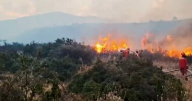 Lamallari: Zjarrvënia është krim, dënimet në Kodin Penal shkojnë deri në 15 vite burg