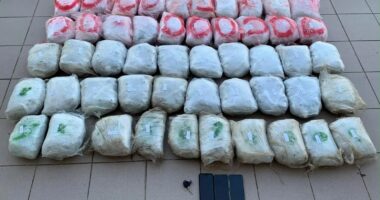 Kapen mbi 55 kg marijuanë në kufirin greko-shqiptar