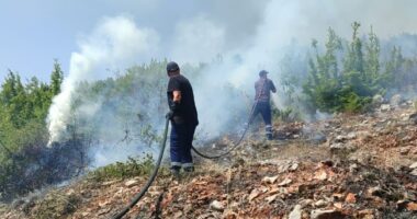 Zjarr në Qafë Thanë/ Flakët përhapen me shpejtësi, favorizohen nga era