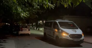 Plagosje në Elbasan, detajet e para