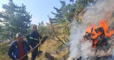 Riaktivizohet zjarri mes Lekasit dhe Voskopojës, forca të shumta në terren për shuarjen e flakëve