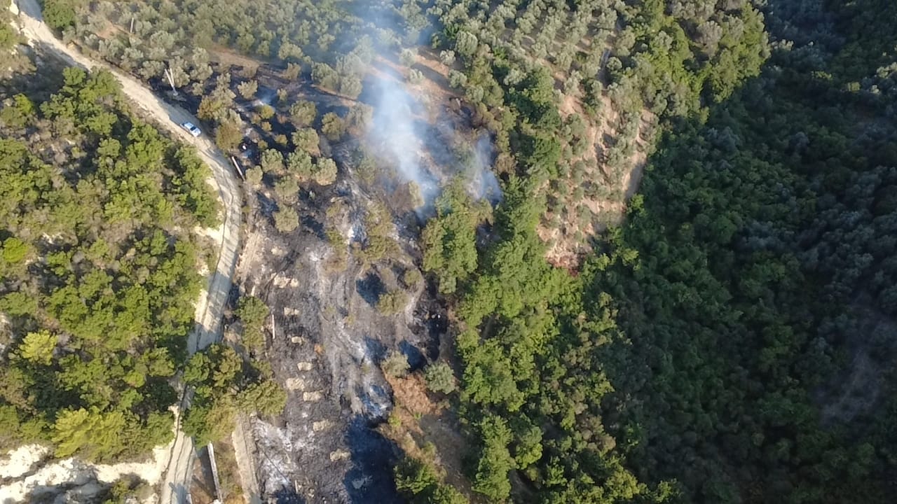 Vihet në kontroll zjarri në Cfir të Mallakastrës, digjen 2 hektarë toke dhe 50 rrënjë ulliri