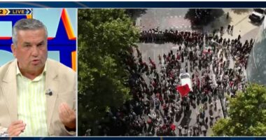 Protestat, gurë policisë/ Avokati: Ka forca që synojnë ta çojnë vendin në luftë civile, duhet të arrestohen organizatorët që i paguajnë