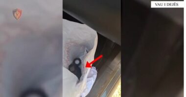Parandalohet ngjarje kriminale në Vaun e Dejës/ Arrestohet 38-vjeçari, iu gjet minë me telekomandë