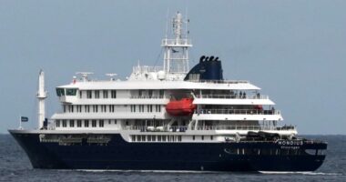 Merr fund epidemia e hantavirusit që i mori jetën 3 personave dhe infektoi 13 të tjerë, MV Hondius do t’i rikthehet lundrimit