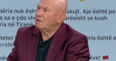 “VV dërgoi 15 mijë veta në protestë nën emrin e Diasporës”, Meçe: Skutha, akt antikombëtar dhe antishqiptar!