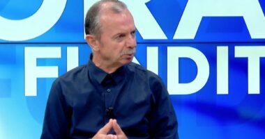 Protesta/ Nura: Individë të veçantë kanë kërcënuar SPAK. Balliu: Berisha ka futur mercenarë për të shuar protestën