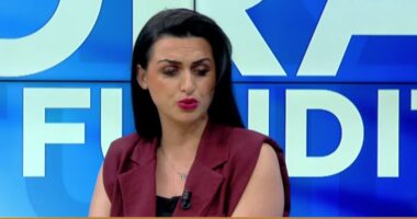 “Nuk ka garë në PD”, Alesia Balliu: Partia ka nevojë për rinovim, me Berishën nuk fitohen zgjedhjet!