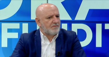 “PD ka humbur moralin dhe strategjinë politike”, Bejko: Zgjedhjet nuk e forcojnë demokracinë e brendshme të PD!