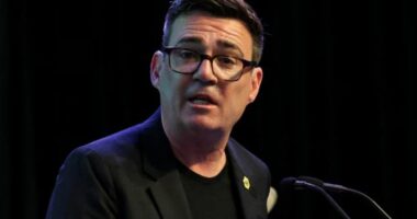 Andy Burnham shpallet zyrtarisht udhëheqësi i ri i Partisë Laburiste, pritet të marrë drejtimin e qeverisë britanike