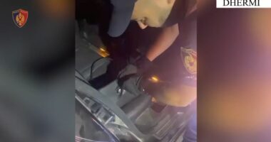 Tre operacione në 24 orë në Vlorë/ Arrestohen 3 persona për armë pa leje, grabitje me dhunë dhe trafikim emigrantësh