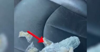 Operacion antidrogë në Vlorë/ Arrestohen pesë persona dhe sekuestrohen 700 doza narkotike