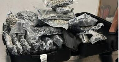 EMRI/ Droga në Rinas, identifikohet njëri prej të arrestuarve, si tentoi t’u shmangej kontrolleve