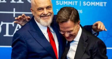 Rama ndan foton me kreun e NATO: Vjen dita e paimagjinueshme, shihemi në Shqipëri për samitin e rradhës!