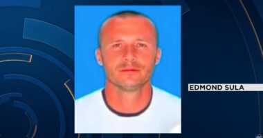 Vrasja e Edmond Sulës, informacione në RMV/ U vra më 12 korrik, viktima aksioner në një kompani kanabisi mjekësor