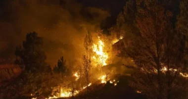 Spanjë, të paktën 12 të vdekur nga zjarri pyjor në Almeria