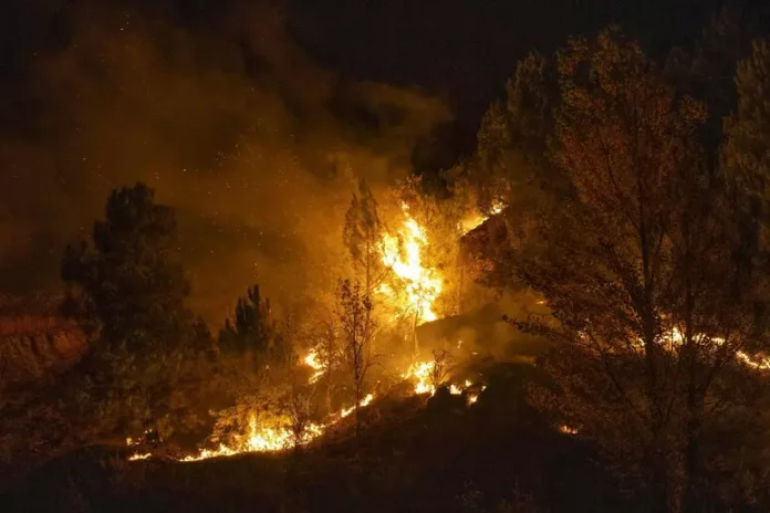 VIDEO  Spanjë  të paktën 12 të vdekur nga zjarri pyjor në Almeria