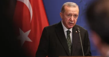 Zbulohet plani i vitit 2016 për vrasjen e Erdoganit