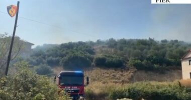 Ndezën zjarr për djegien e mbetjeve, procedohen dy persona në Fier, një i arrestuar