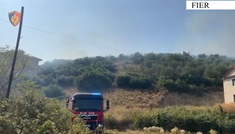 Ndezën zjarr për djegien e mbetjeve  procedohen dy persona në Fier  një i arrestuar