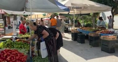 Superprodhimi ul çmimet e perimeve/ Tregjet mbushen me prodhime të Myzeqesë, bie kostoja për konsumatorët