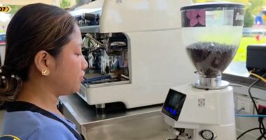 Sezoni shton kërkesën për punonjës të huaj/ Fier, interesi më i lartë është në sektorin e turizmit