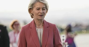 Von der Leyen do të dhurojë armën e dhuruar nga Erdogan për muzeun ushtarak
