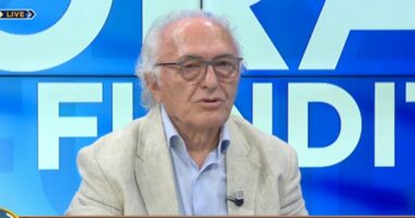 Flamingot u bënë blu/ “Dhunë, perversitet e marrëzi”, Çupi: Rusia, Irani dhe Kurti po e krijojnë protestën