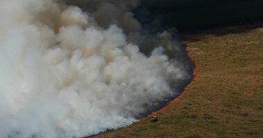 Franca dhe Spanja vazhdojnë të luftojnë me zjarret