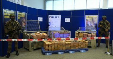 Sekuestrohen 1,2 tonë kanabis në Hamburg