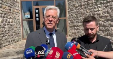 ‘Shuplakë’ gjermane dhunës së flamingove/ Ambasadori Bergner: E patolerueshme, kundër parimeve të BE