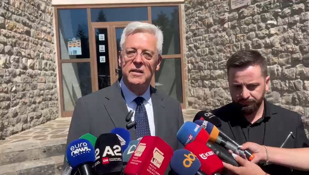  Shuplakë  gjermane dhunës së flamingove  Ambasadori Bergner  E patolerueshme  kundër parimeve të BE