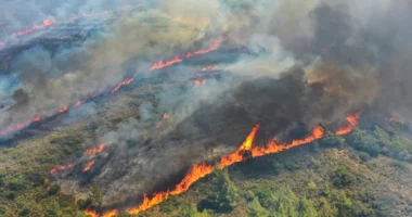 Greqi, nis lufta me zjarret/ 96 vatra aktive, Atika zona më e rrezikuar