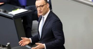 Aleati i lartë i Merz jep dorëheqjen pas kritikave për lindjen e fëmijës nga një nënë zëvendësuese në SHBA