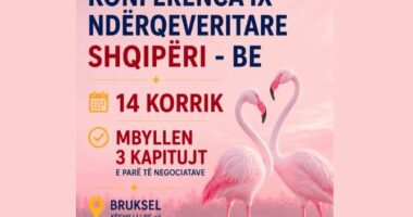 Negociatat/ Rama: Më 14 korrik, Konferenca e IX Ndërqeveritare në Bruksel. Mbyllen 3 kapitujt e parë