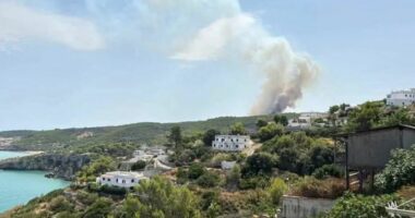 Zjarr në Gargano të Italisë, turistët evakuohen në anijet e Rojës Bregdetare/ Flakët përhapen drejt disa zonave të banuara