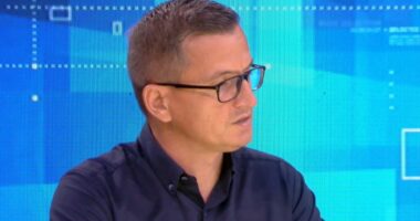 Protesta, Mile: Ndoshta mund të ketë grupime të lidhura me një agjendë anti-Trump