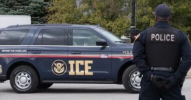SHBA, arrestohen 238 emigrantë në një operacion në Teksas